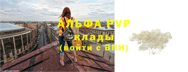 СК Богородск