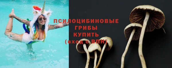СК Богородск