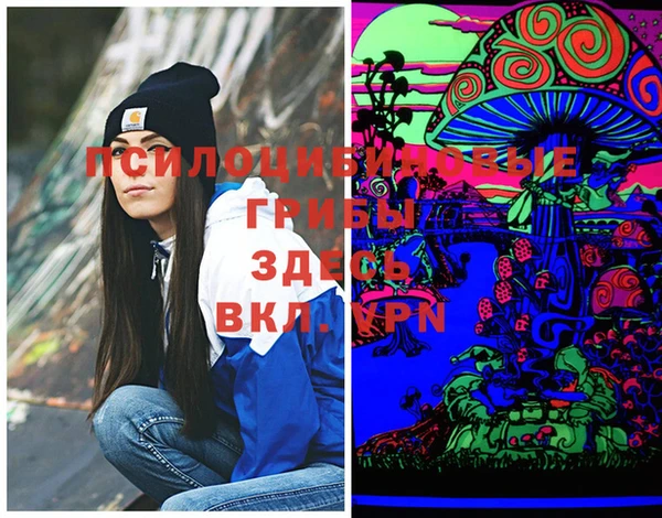 марки lsd Богданович