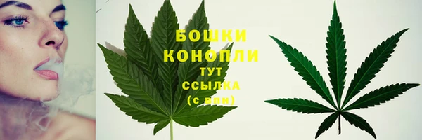 СК Богородицк