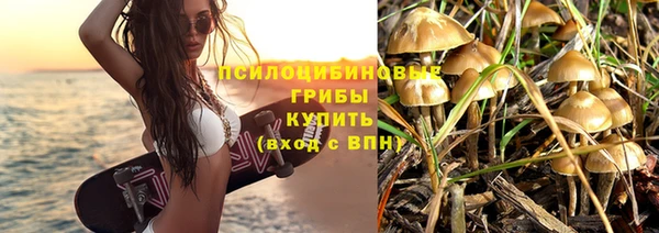 СК Богородицк