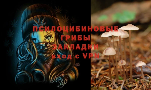 марки lsd Богданович