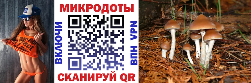 где купить наркотик  Разумное  Псилоцибиновые грибы Psilocybe 